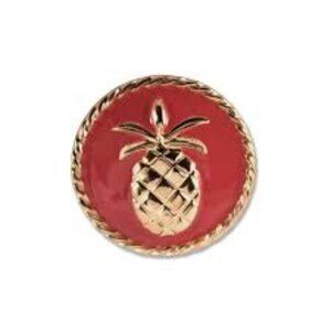 Lindsay Phillips Dylan Pineapple Snaps